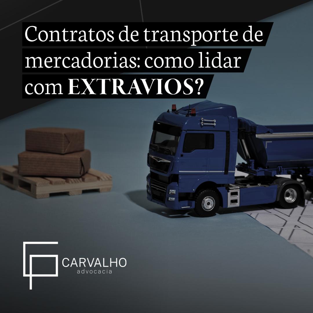 Imagem da notícia 7