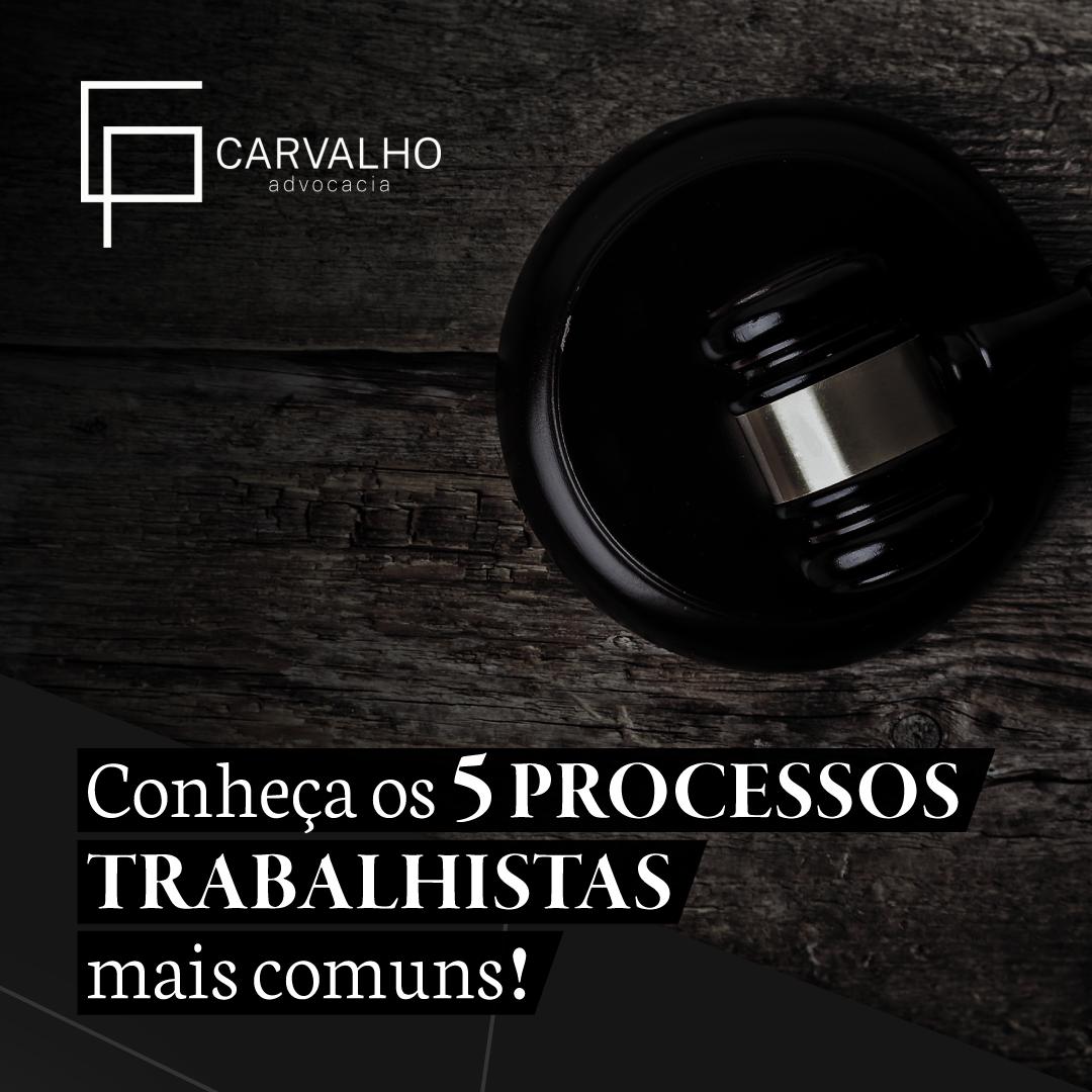 Imagem da notícia 6